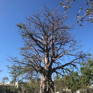 Meet your Posher, Mili